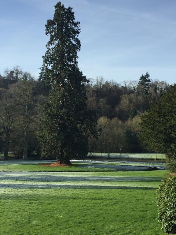 Le Manoir De Benedicte B&B Cahan Exteriör bild